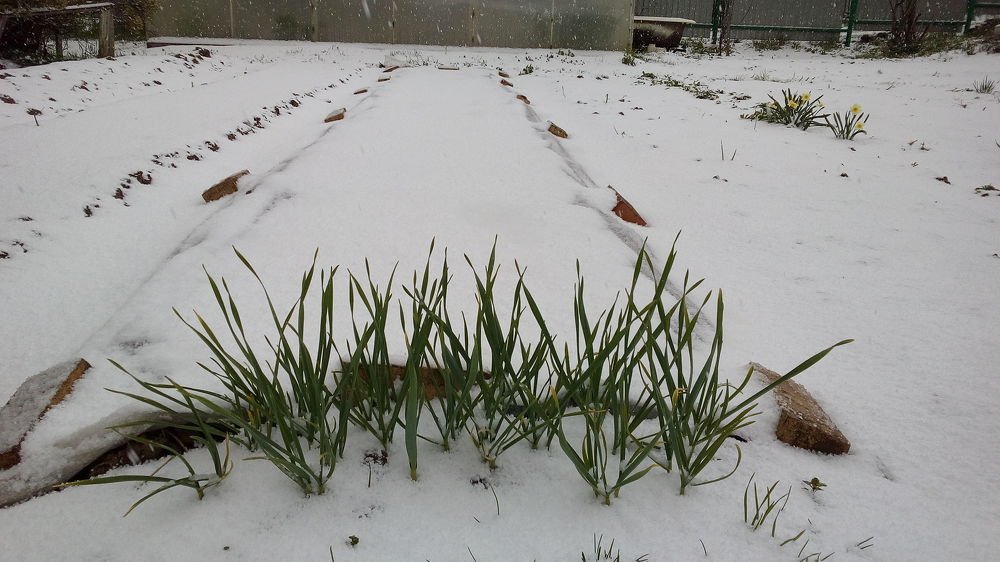 Фотография автора Александр Осинцев