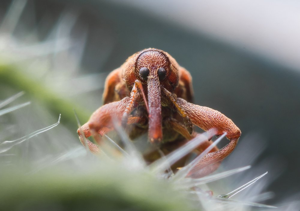 Photograph by Александр Рындин