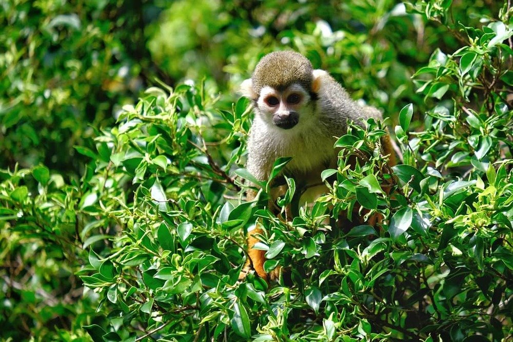 Фотография автора Денис Винарь