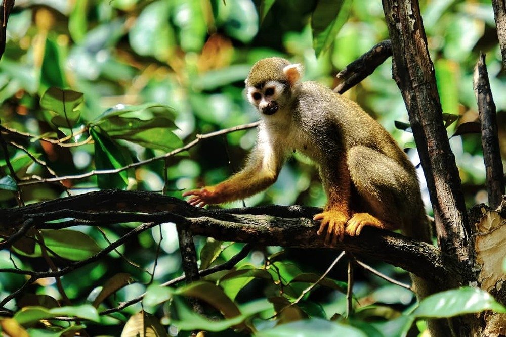 Фотография автора Денис Винарь