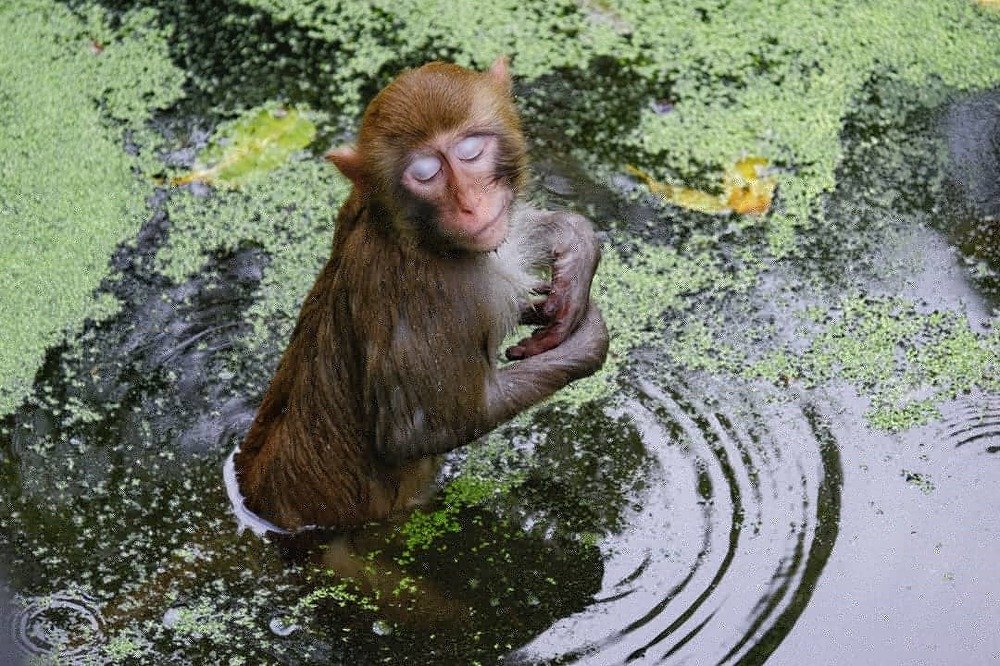 Фотография автора Денис Винарь