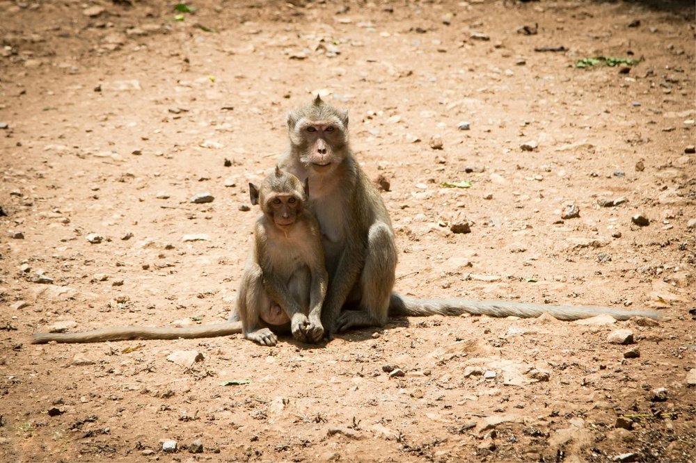 Фотография автора Денис Винарь