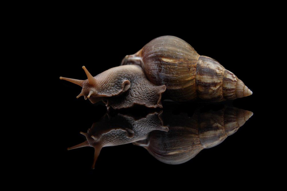 Photograph by Анна Миллер