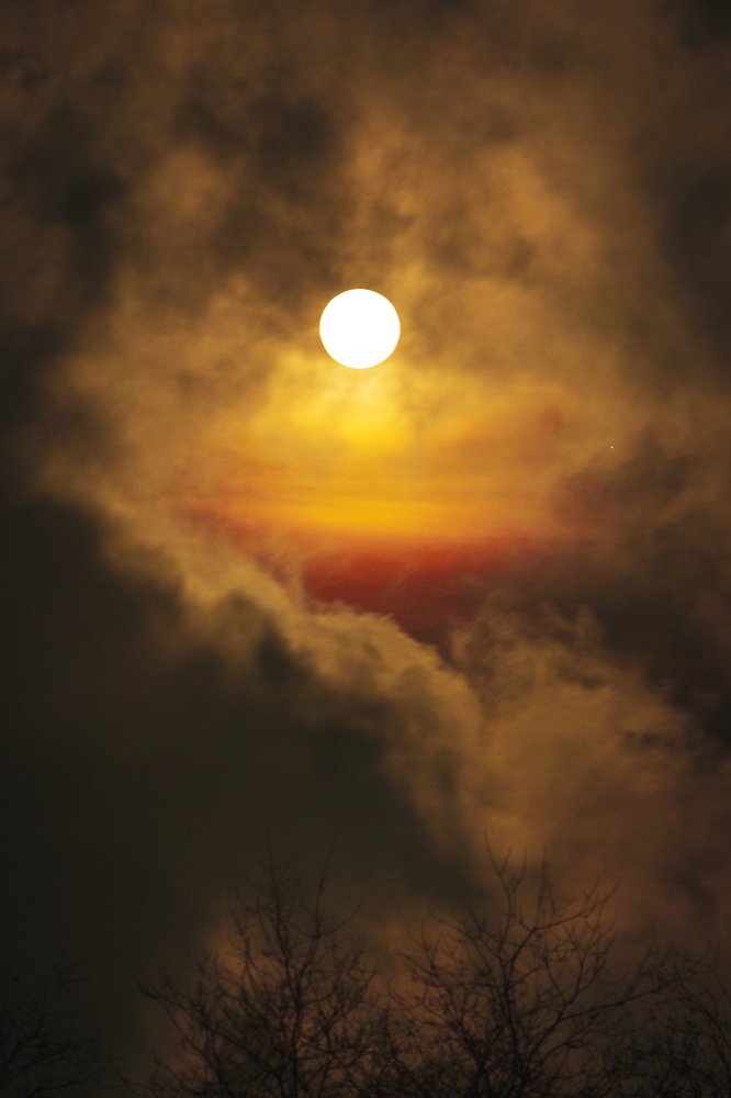 Photograph by Елена Сергиенко