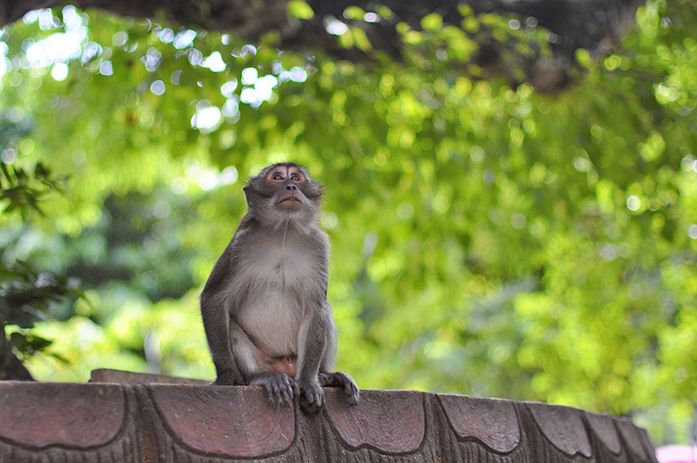 Photograph by Олеся Филиппова