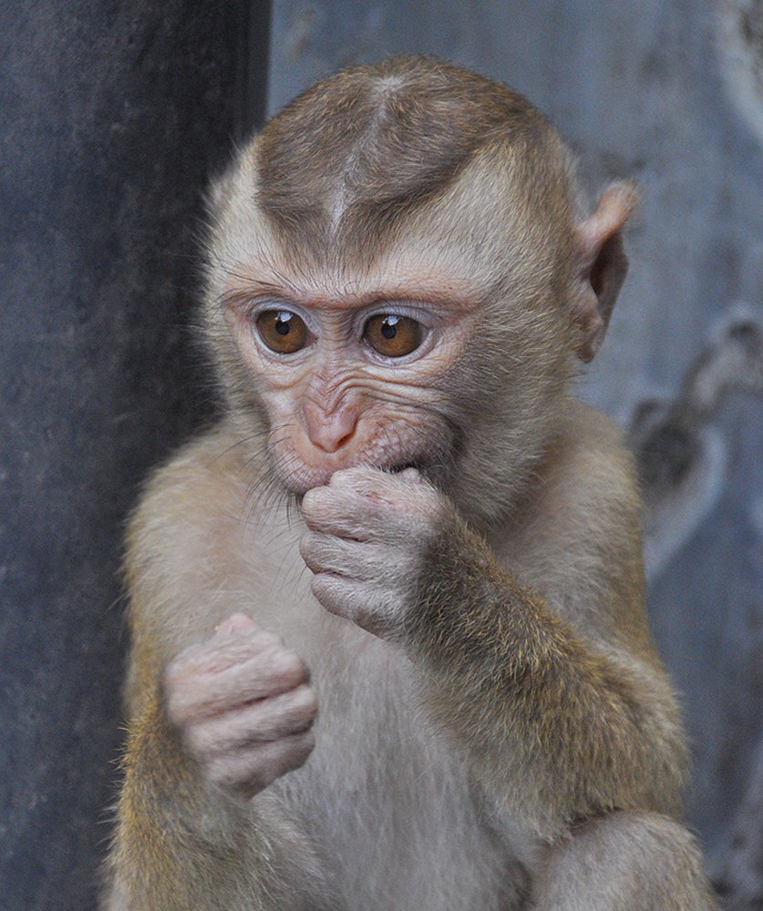 Photograph by Олеся Филиппова