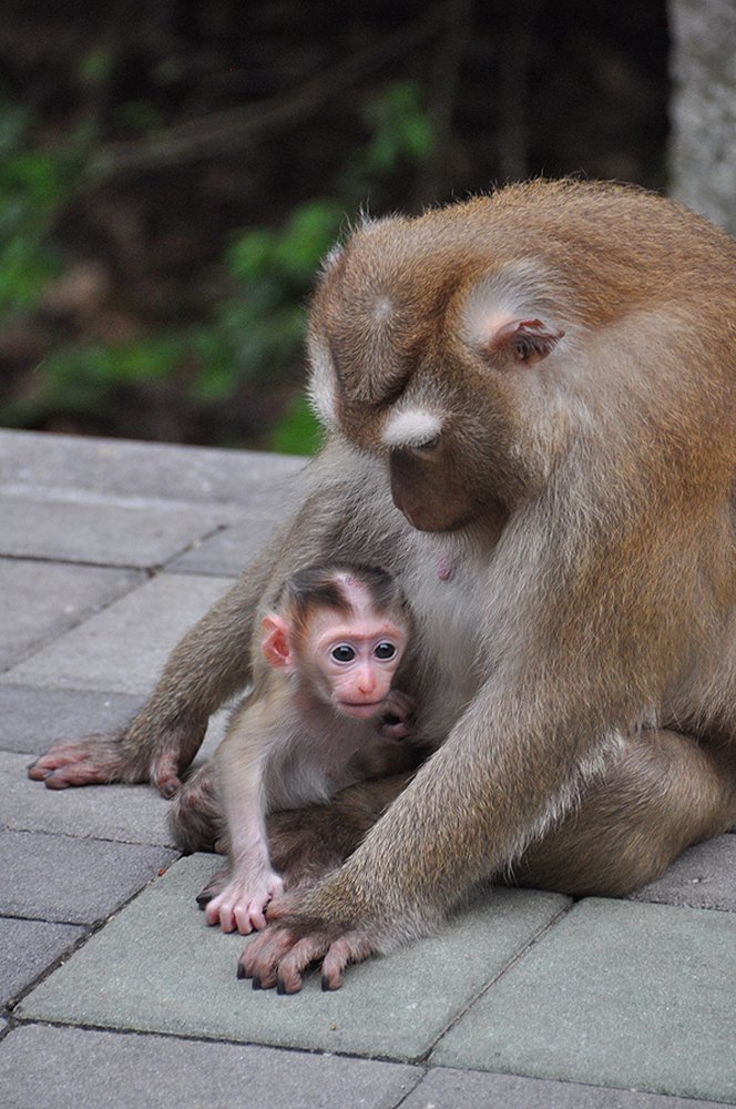 Photograph by Олеся Филиппова