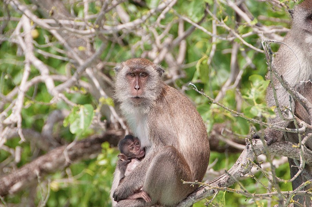 Photograph by Олеся Филиппова