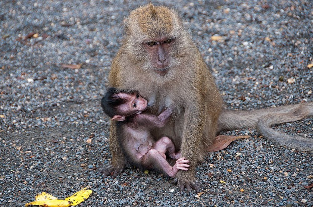 Photograph by Олеся Филиппова