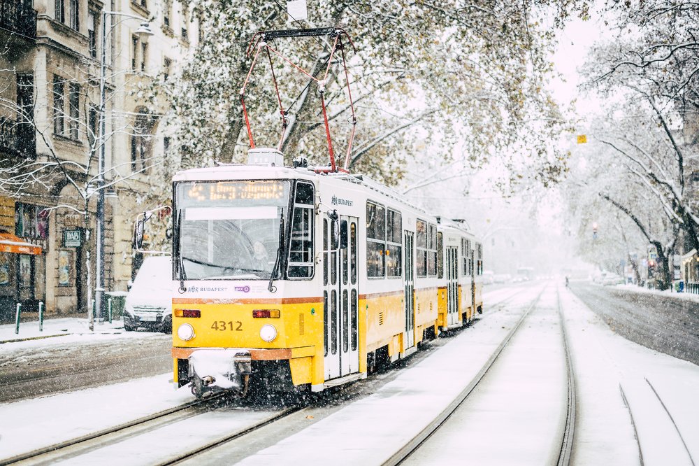 Photograph by Szabo Attila