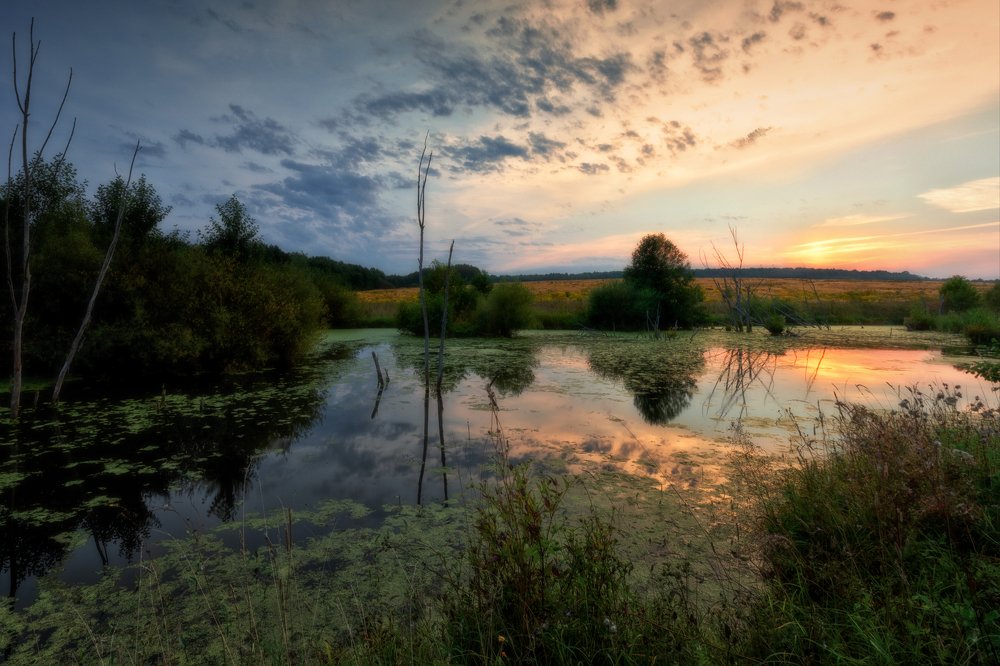 Photograph by Николай Борисов