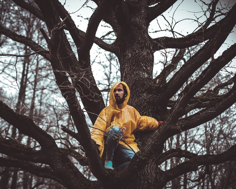 Дерево жизни