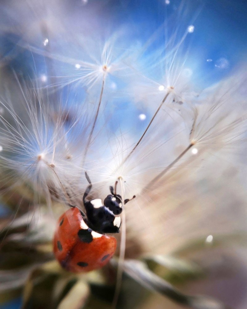 Стремление