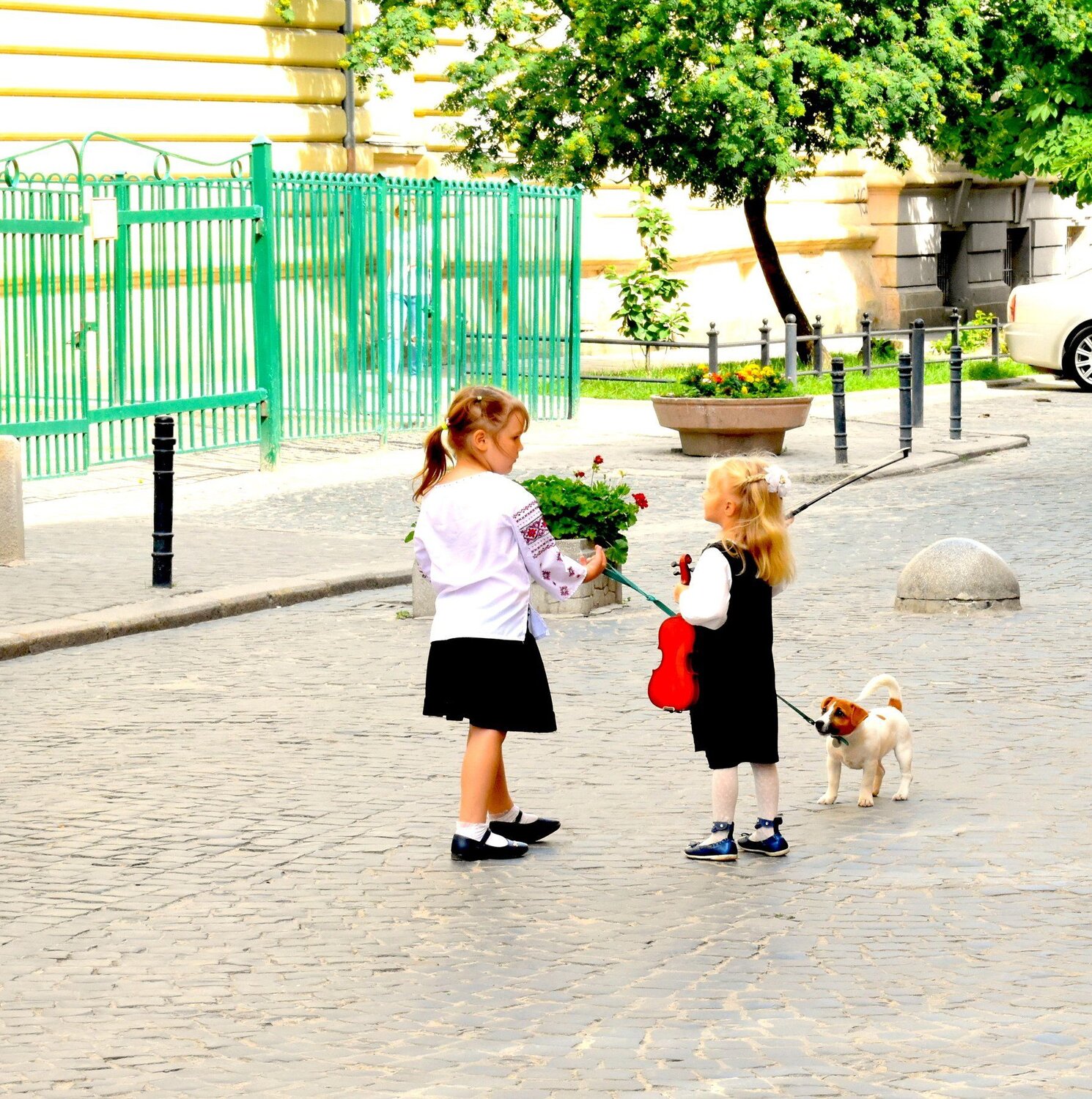 Photo #3997344