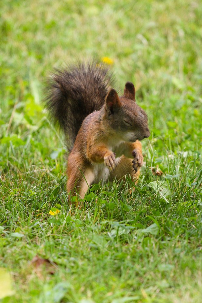 Photograph by Мария Никитина