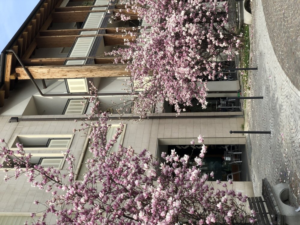 Photograph by Анастасия Лясович