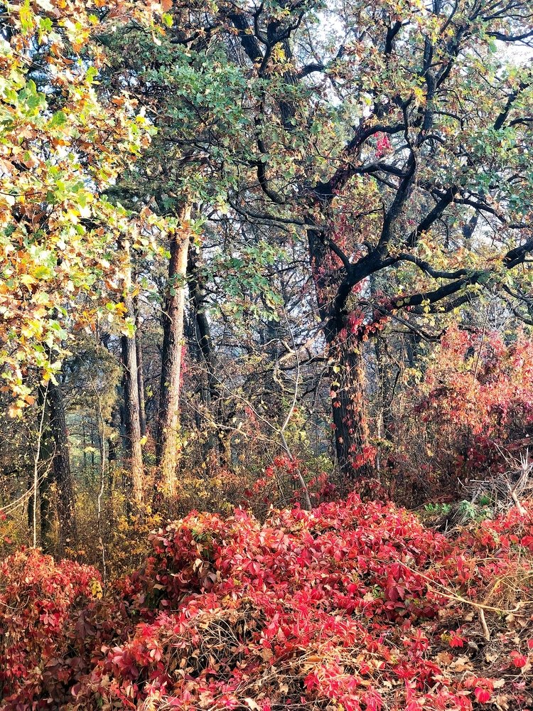 Photograph by Анастасия Лясович