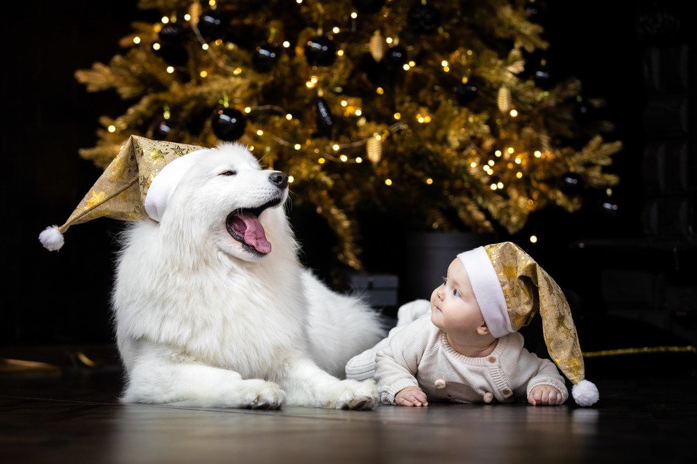 Photograph by Слепцов Василий