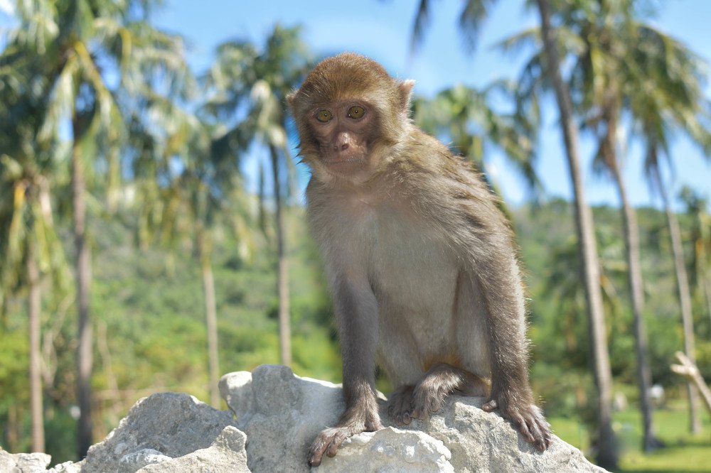 Photograph by Ксения Илюшина