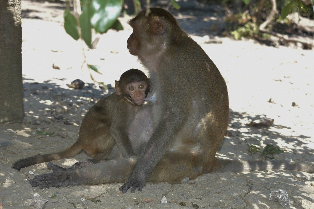 Photograph by Ксения Илюшина