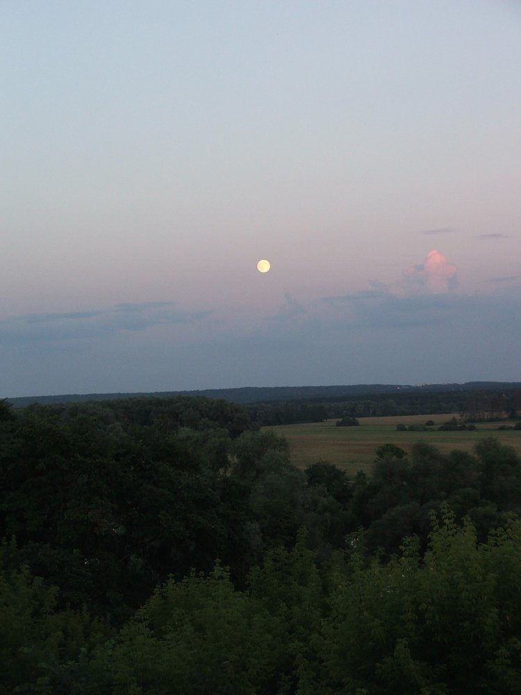 Фотография автора Владислава Андрюнина