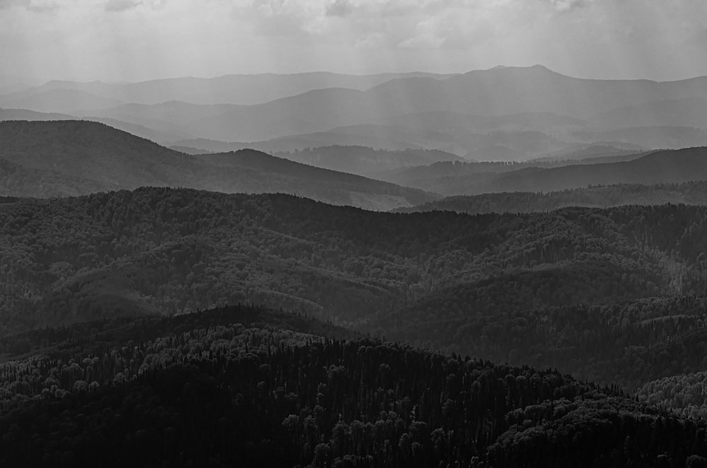 Photograph by Джазатор