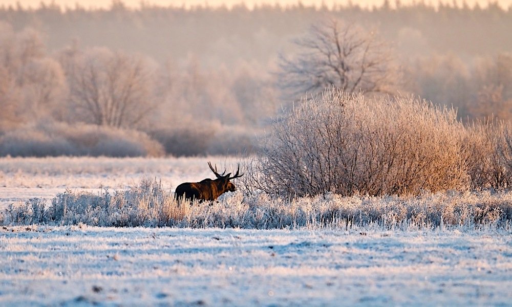 Photograph by Мазурин Евгений