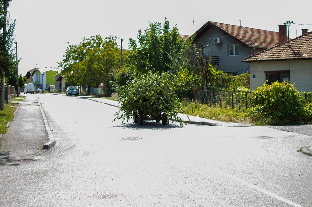 Photograph by Amir Memić