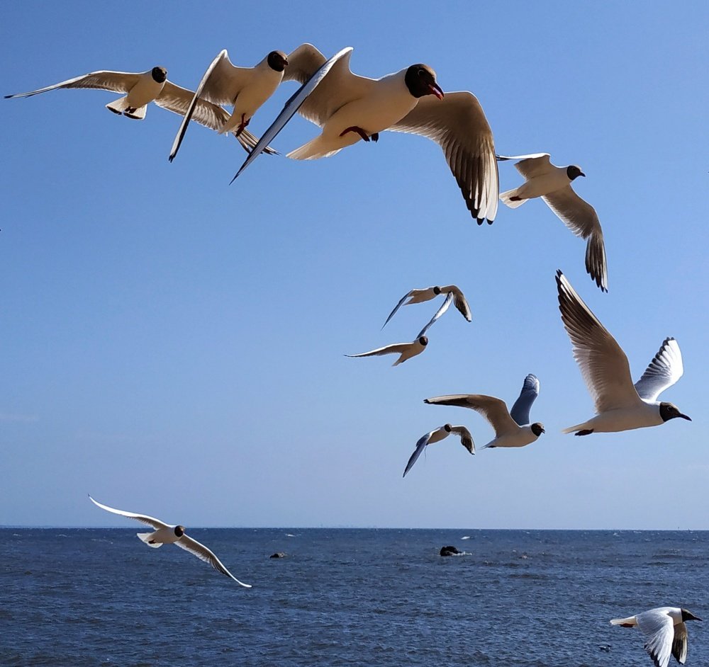 Photograph by Екатерина Бевзенко