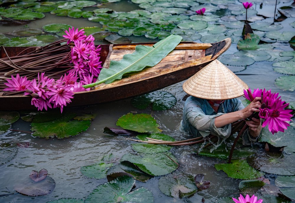 Photograph by Duong Le Thai