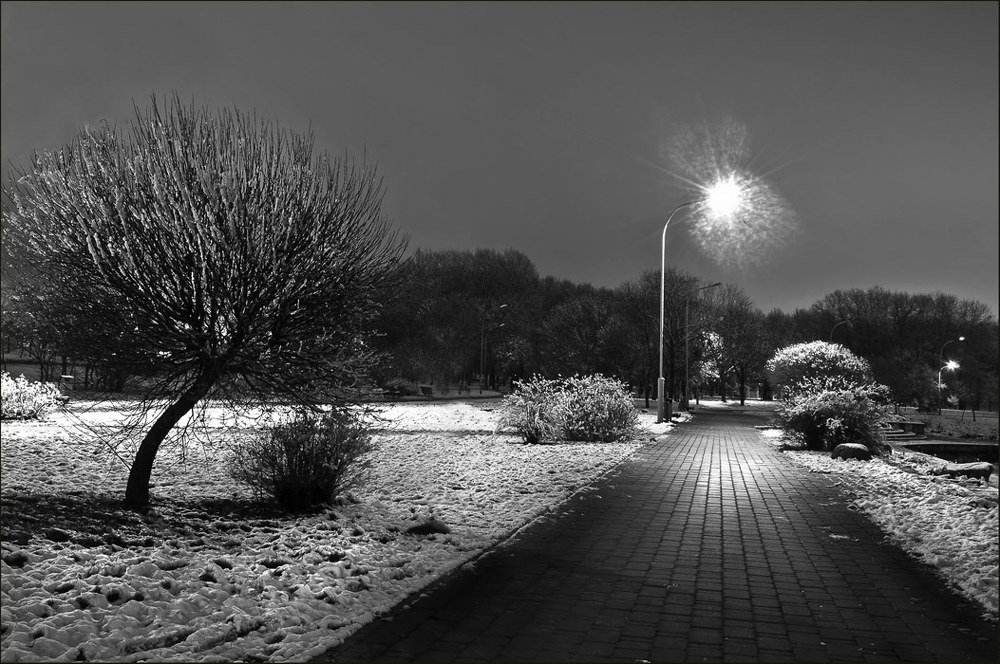 Photograph by Людмила Сиденко