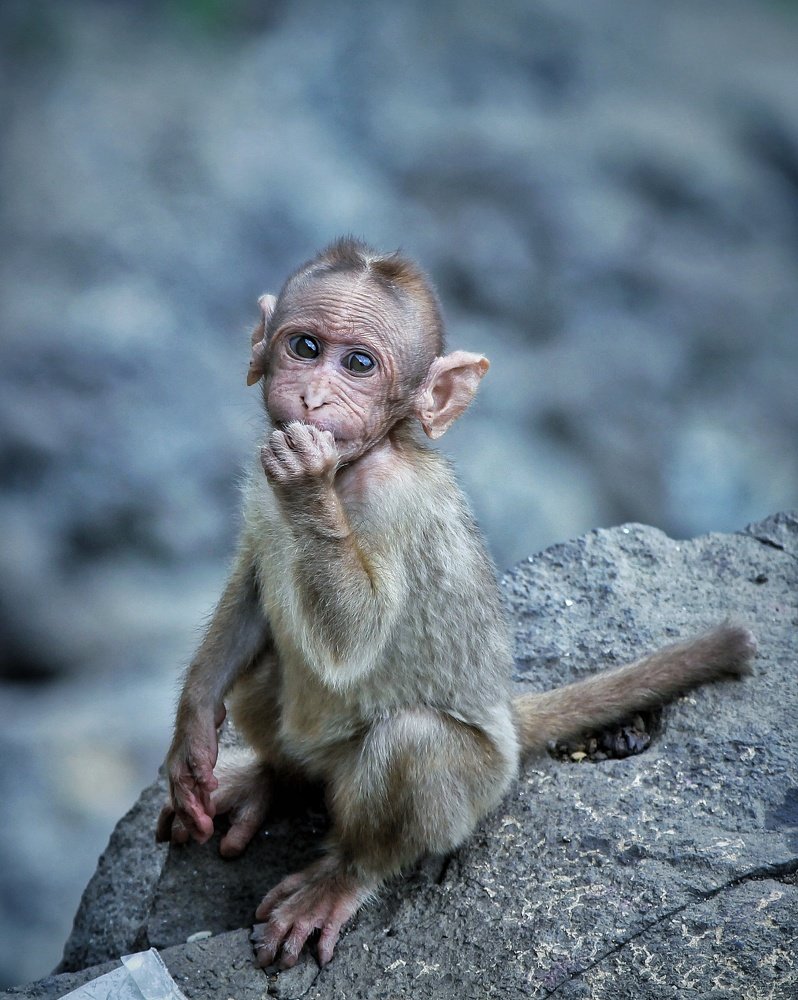 Photograph by Rupam Pathak