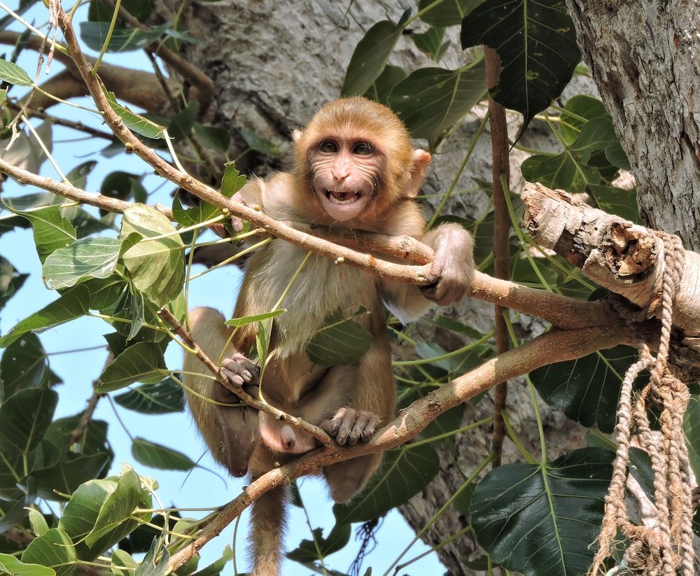 Photograph by Rajan Shah