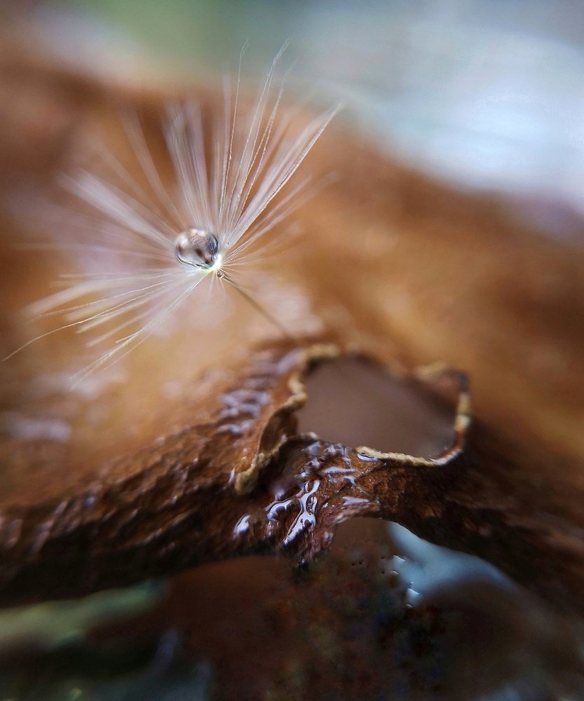 Photograph by Татьяна Вихарева