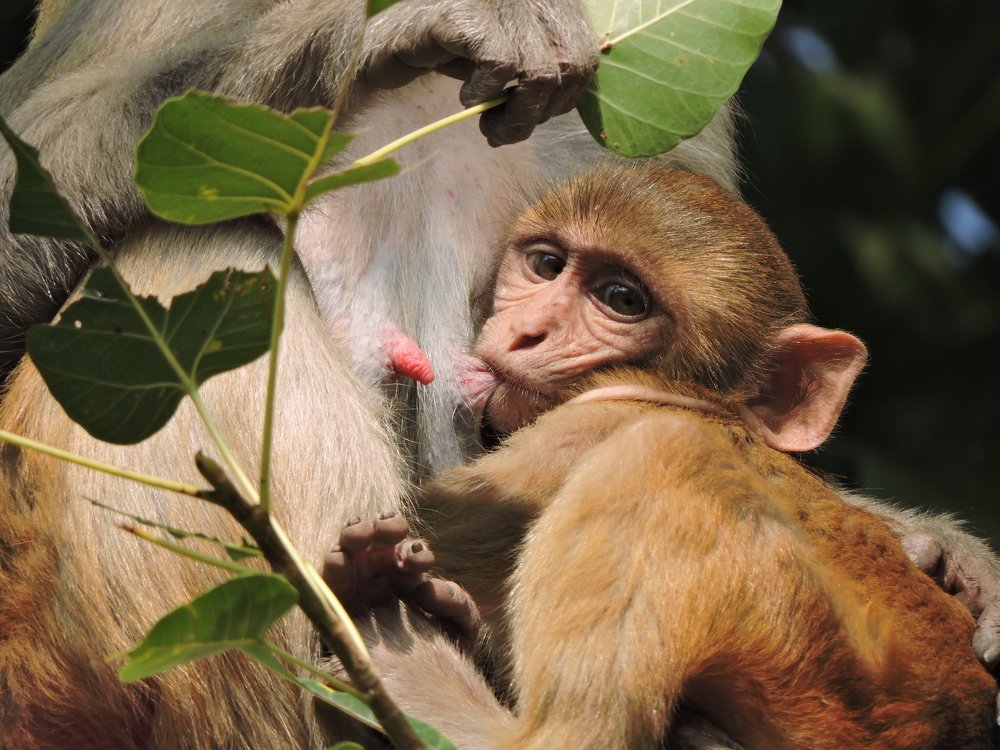 Photograph by Rajan Shah