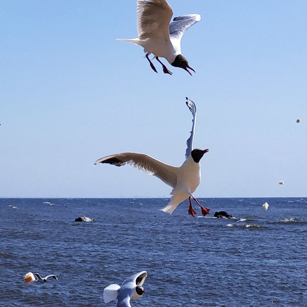 Photograph by Екатерина Бевзенко