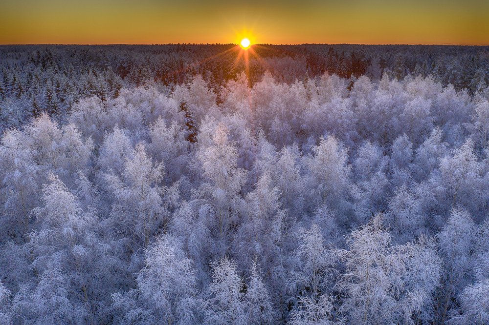 Photograph by Mārcis Baltskars