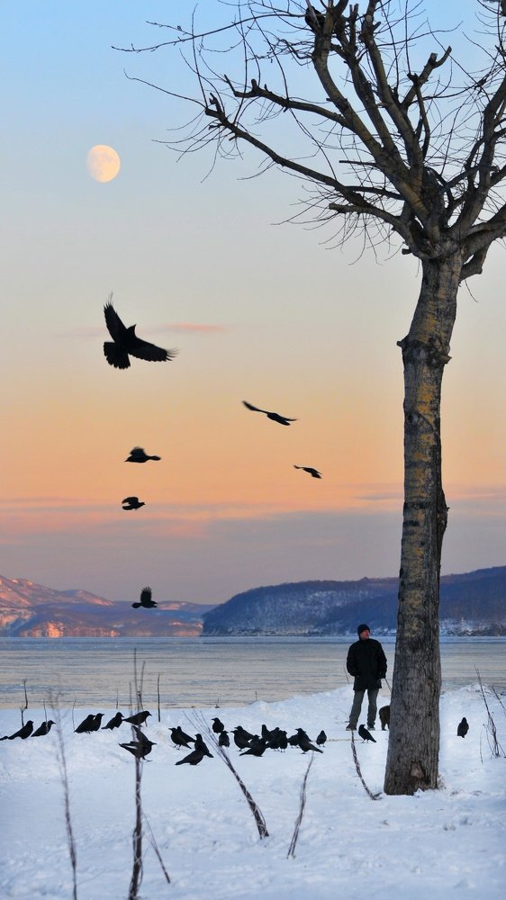 Photograph by Анна Стрельченко