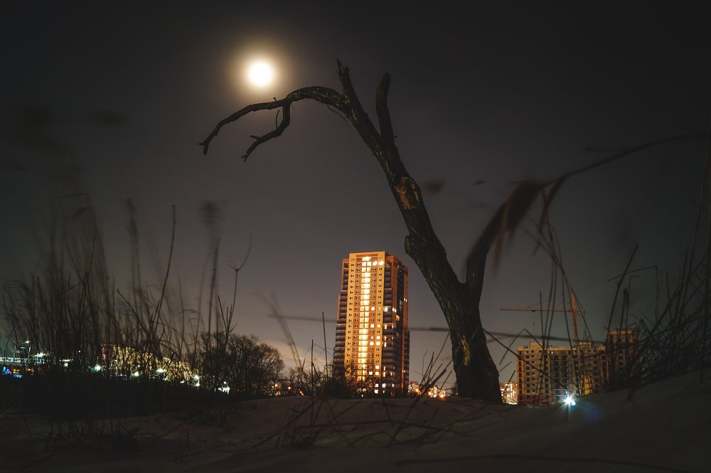 Photograph by Виктор Сёмушкин