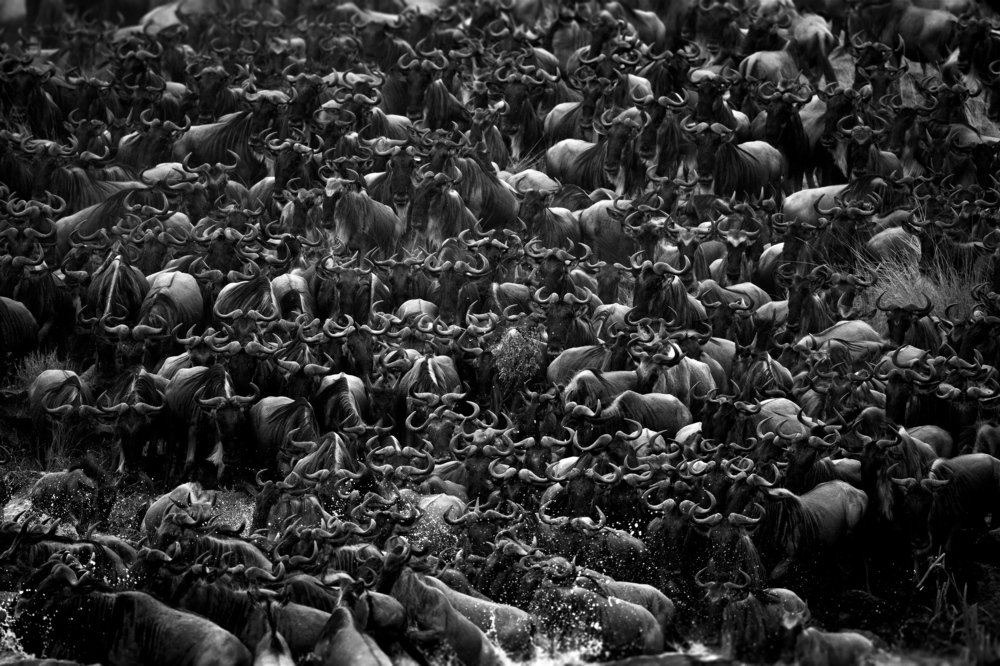 Рожки да ножки