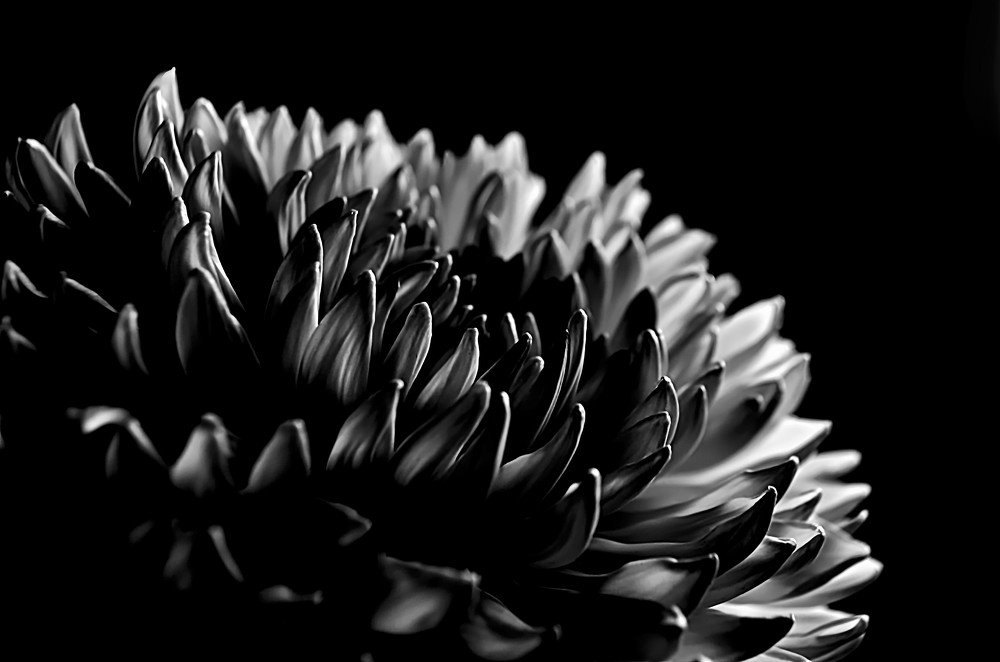 Photograph by Janin Bergmann