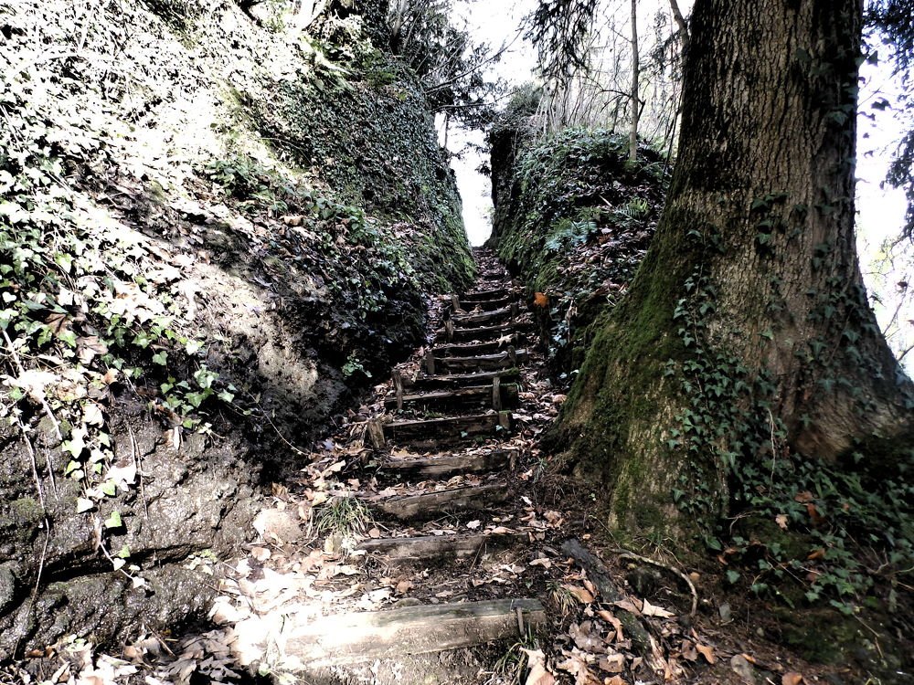 Photograph by Suzana Šimek