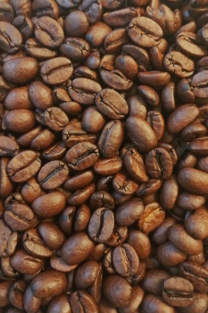 Photograph by Ружена Титтель-Феллер