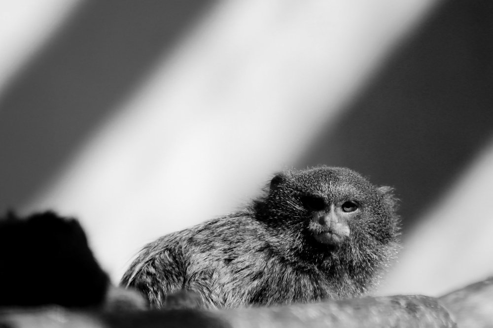 Photograph by Зубков Вадим