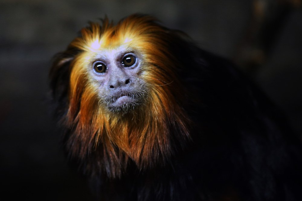 Photograph by Зубков Вадим