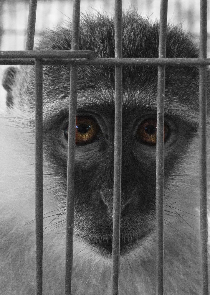 Photograph by Eldeeb Eman