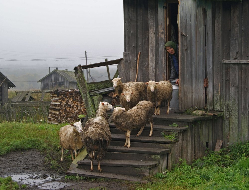 Веселая хозяйка
