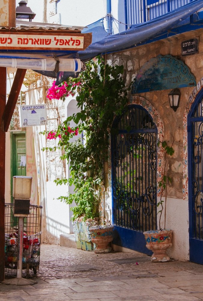 Фотография автора Ольга Забрянская