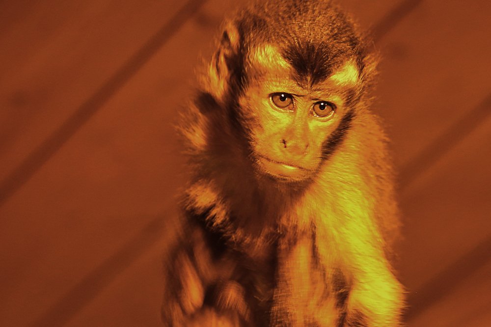 Photograph by Зубков Вадим