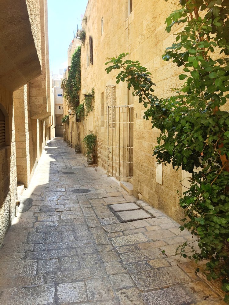 Фотография автора Ольга Забрянская